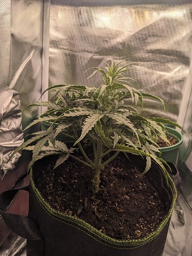 PXL_20240515_222626317