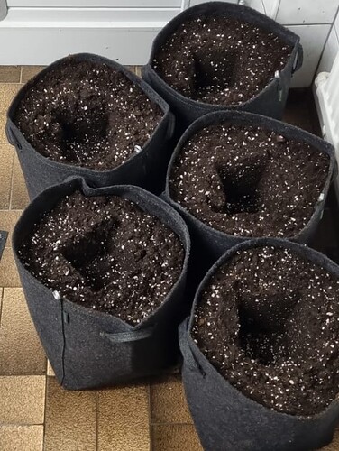 WhatsApp Image 2024-11-09 at 23.51.18