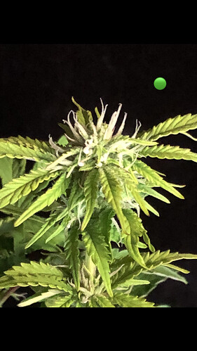 Growreport Bild 18