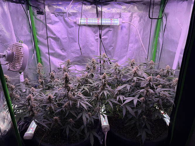 Growreport Bild 48