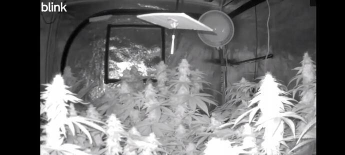 Growreport Bild 3