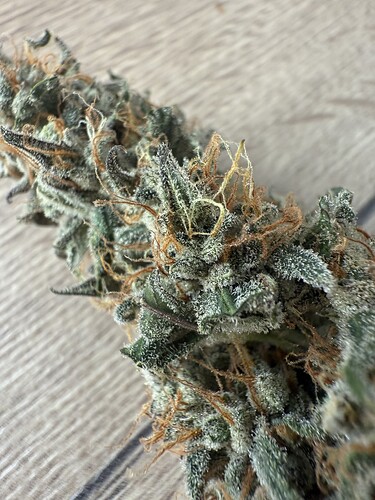 Growreport Bild 2