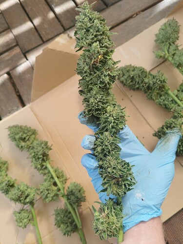 Growreport Bild 20