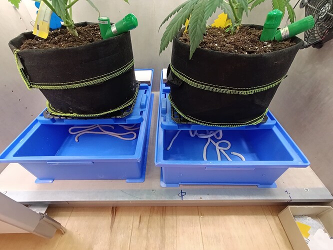 Growreport Bild 26