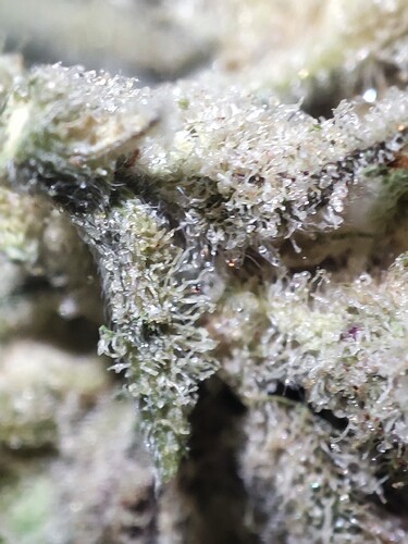 Growreport Bild 16