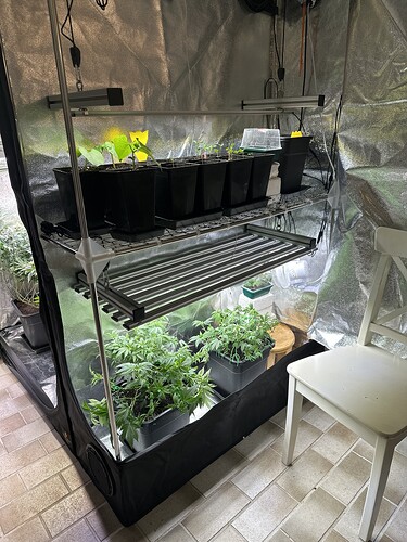 Growreport Bild 36