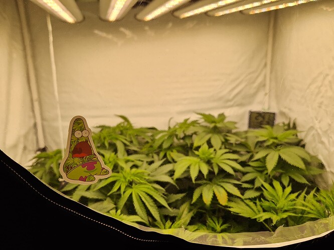 Growreport Bild 15