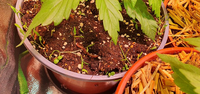 Growreport Bild 16