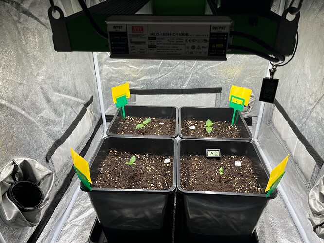 Foto 29.11.24, 17 01 56