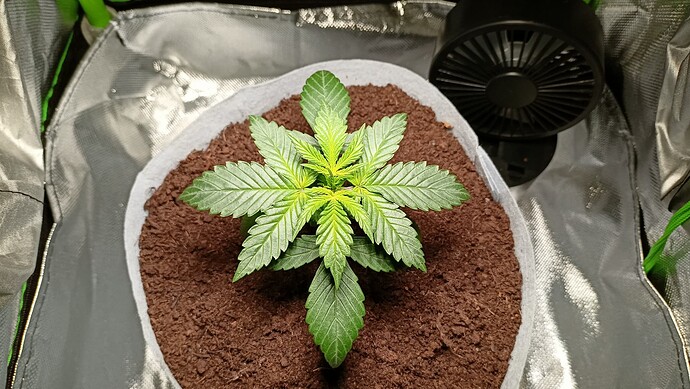 Growreport Bild 5