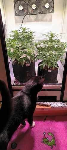 Growreport Bild 19