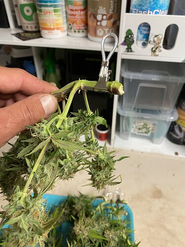 Growreport Bild 56