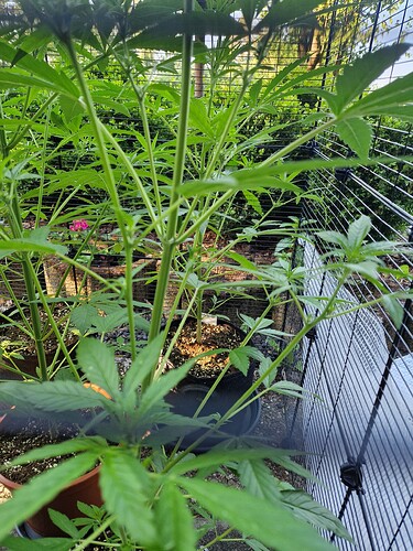 Growreport Bild 4