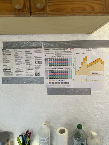 Growreport Bild 28