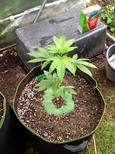 PritexSchneckenStopp_Test2