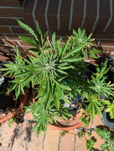 PXL_20240710_135005609