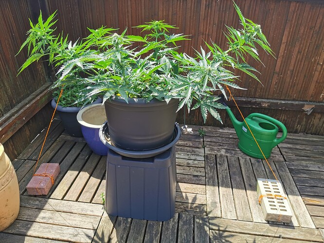 Growreport Bild 14