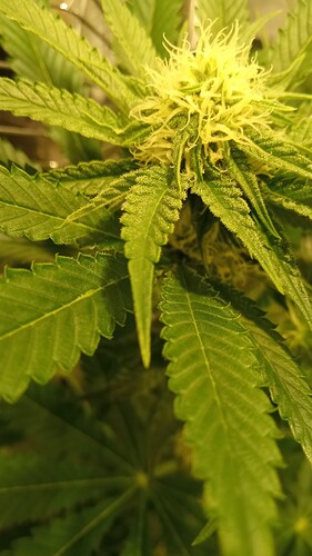 Growreport Bild 22