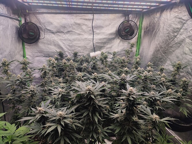 Growreport Bild 24
