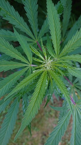 Growreport Bild 10