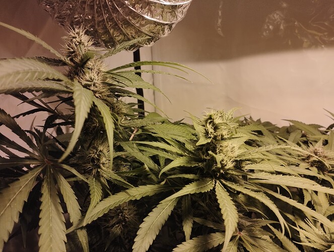 Growreport Bild 8