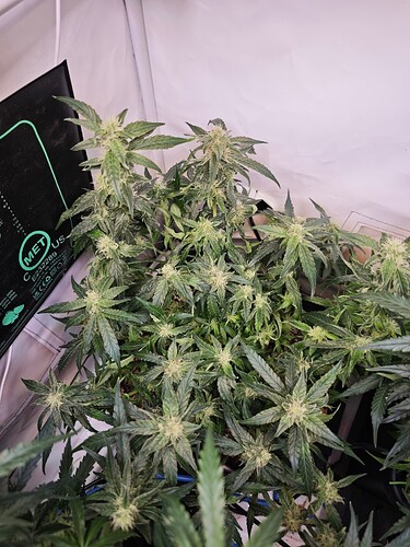 MVIMG_20251103_190444