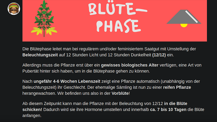 Growreport Bild 13