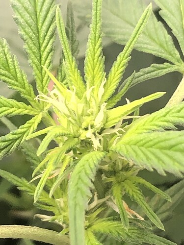 Growreport Bild 7