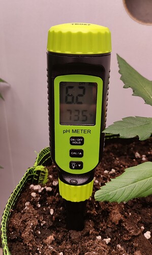 Growreport Bild 11