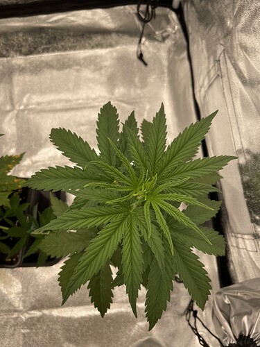 Growreport Bild 9
