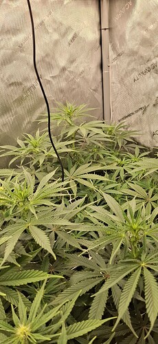 Growreport Bild 4