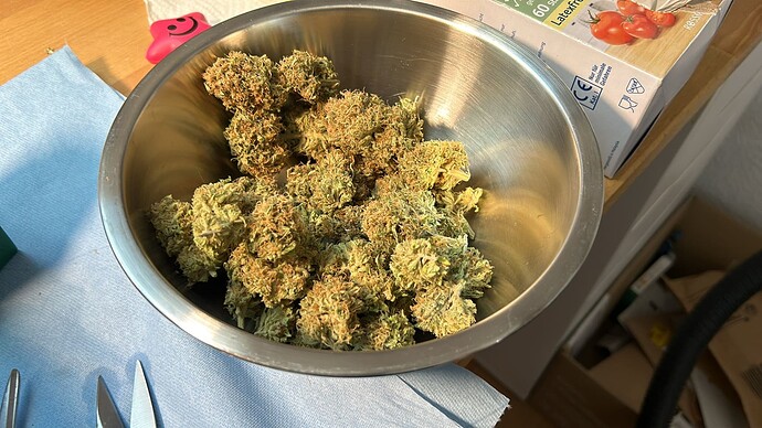Growreport Bild 9