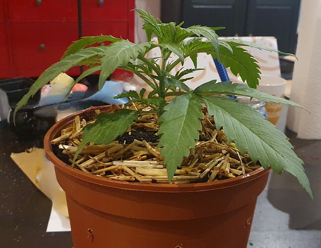 Growreport Bild 8
