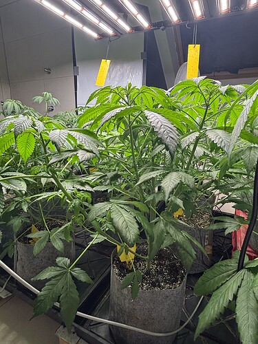 Growreport Bild 20