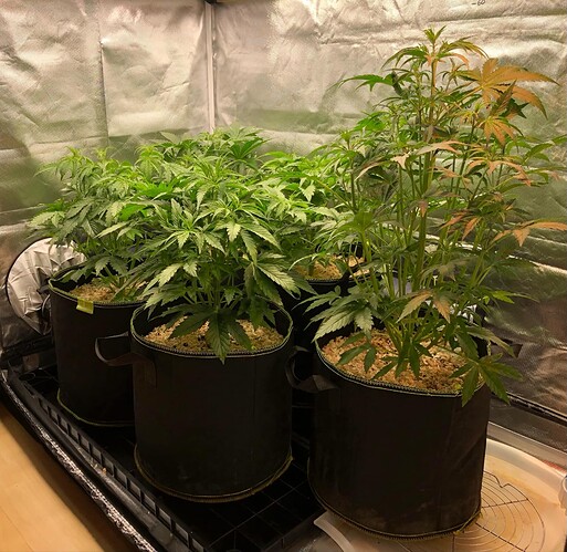 Growreport Bild 11