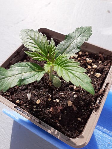 Tag 11 03