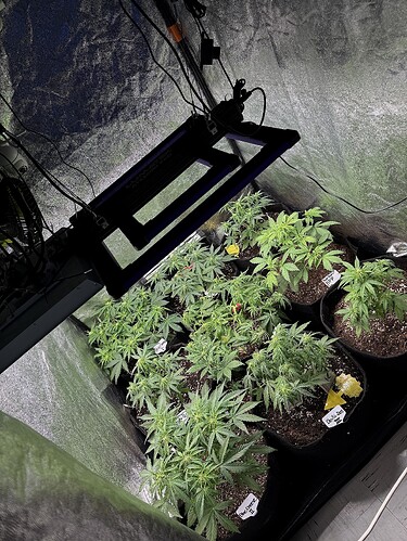 Growreport Bild 4