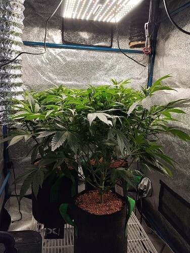 Growreport Bild 8