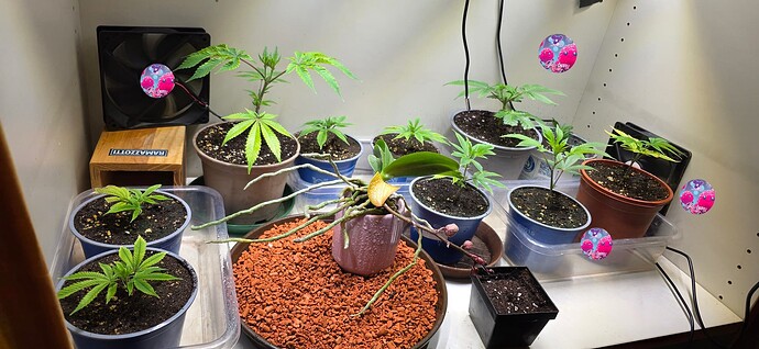 Growreport Bild 8