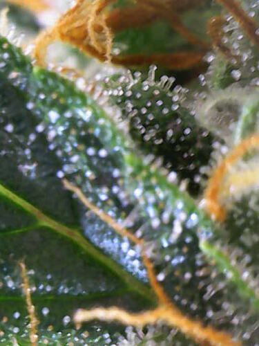 Photo_2026-02-27 15_14_49_216