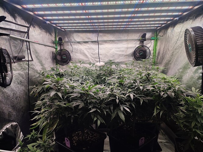 Growreport Bild 11