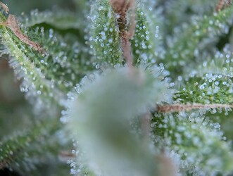 PXL_20250703_132455589