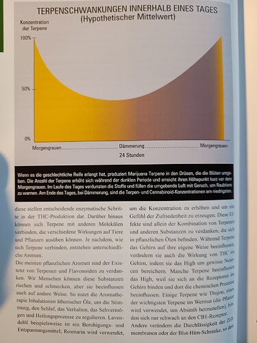 IMG_20240423_163612001_20240423_163804