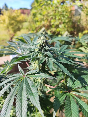 Growreport Bild 12