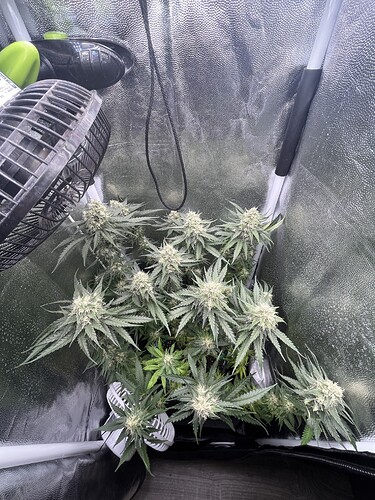 Growreport Bild 16