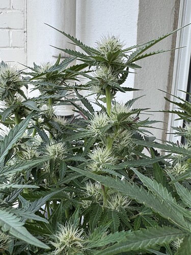 Growreport Bild 18