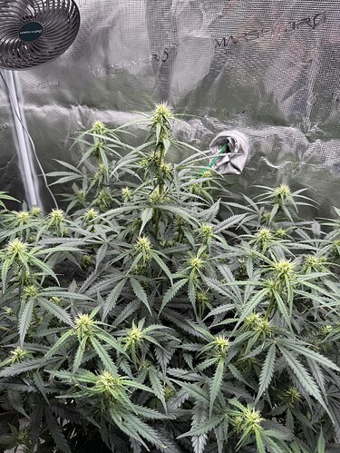 Growreport Bild 10