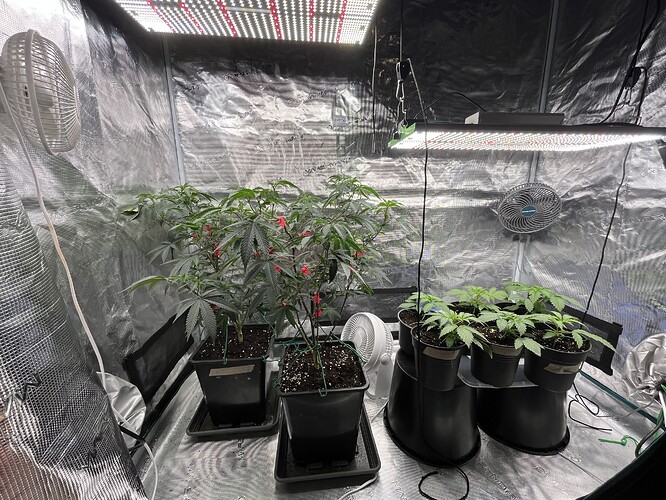 Growreport Bild 6