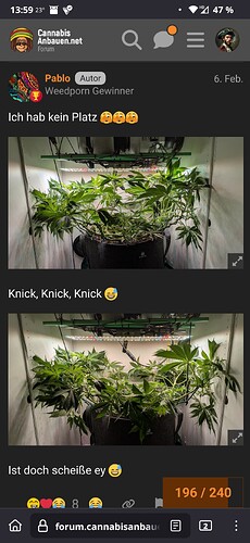 Growreport Bild 14