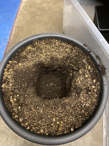 Growreport Bild 26